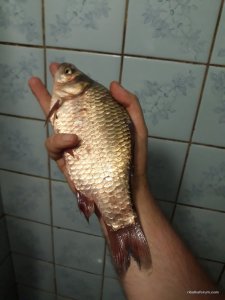 20170818_153131.jpg