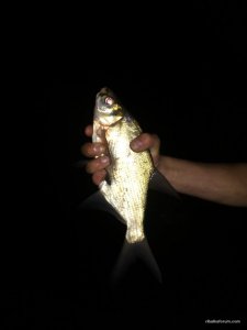 IMG_20170819_210843.jpg