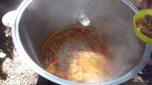 IMG_20170819_110148.jpg