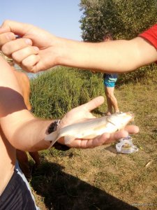 IMG_20170819_091218.jpg