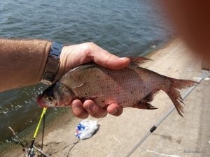 20170820_110715.jpg