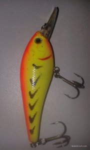 20170331_134115.jpg