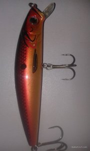 20170331_134526.jpg