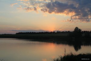 IMG_8260.JPG