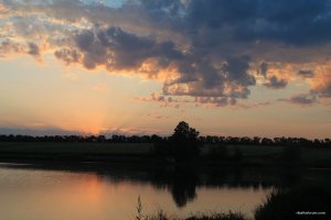 IMG_8261.JPG