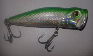 20170331_135043.jpg