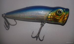 20170331_135135.jpg