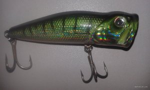20170331_135217.jpg