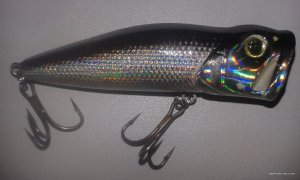 20170331_135257.jpg