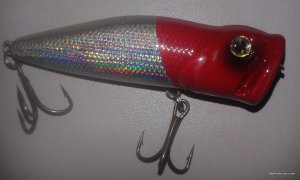 20170331_135327.jpg