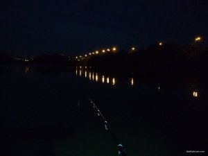 IMG_20170822_044458.jpg