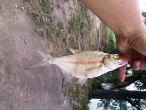 20170822_153106.jpg