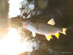 IMG_2567.JPG