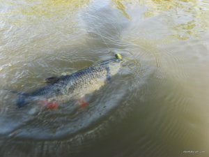 IMG_2582.JPG