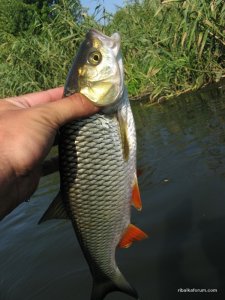 IMG_2585.JPG