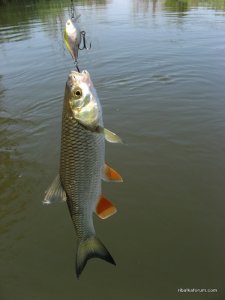 IMG_2589.JPG