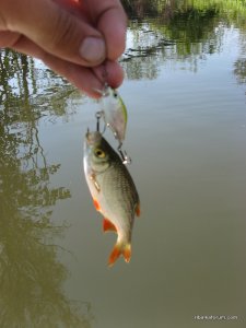 IMG_2590.JPG
