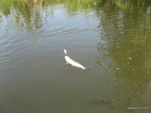 IMG_2591.JPG