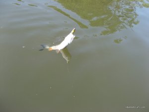 IMG_2593.JPG