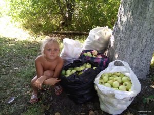 IMG_20170820_112755.jpg