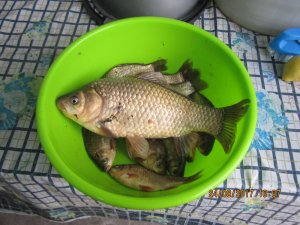 IMG_3882.JPG