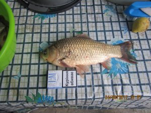 IMG_3883.JPG