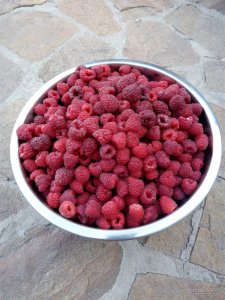 IMG_20170819_180520.jpg
