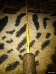 20170825_161745.jpg