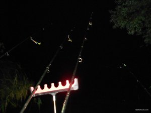 DSCN4150.JPG