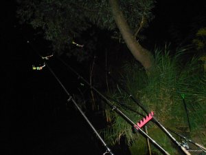 DSCN4155.JPG