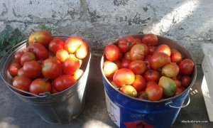 2017-08-25 13-33-49.JPG