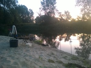 WP_20170825_05_21_34_Pro.jpg