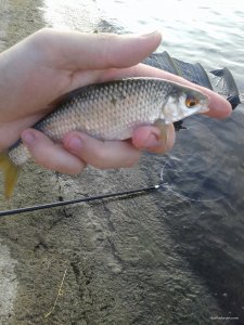 20170826_183722.jpg