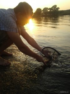 20170826_185904.jpg