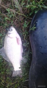 20170827_055907.jpg