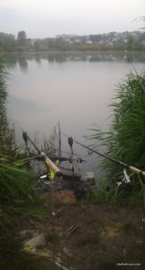 20170827_053941.jpg