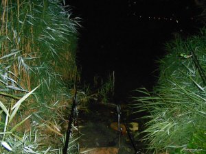 DSCN4186.JPG