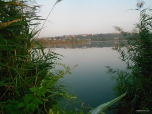 DSCN4224.JPG
