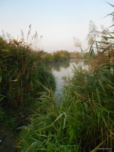 DSCN4268.JPG