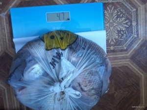20170826_124939.jpg