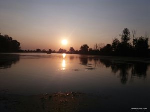 20170827_061954.jpg