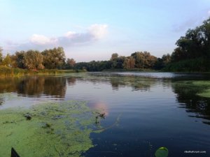 20170827_062004.jpg
