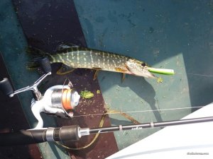 20170827_083532.jpg