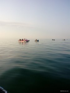 IMG_20170828_072203.jpg