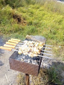 IMG_20170826_111325.jpg