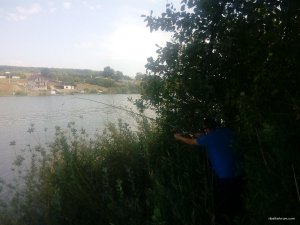 IMG_20170826_122127.jpg