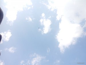 IMG_20170826_112116.jpg