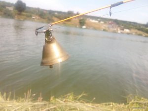 IMG_20170826_122152.jpg