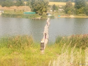 IMG_20170826_121710.jpg