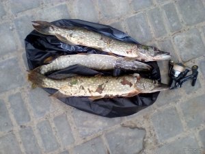 IMG_20170830_180033.jpg